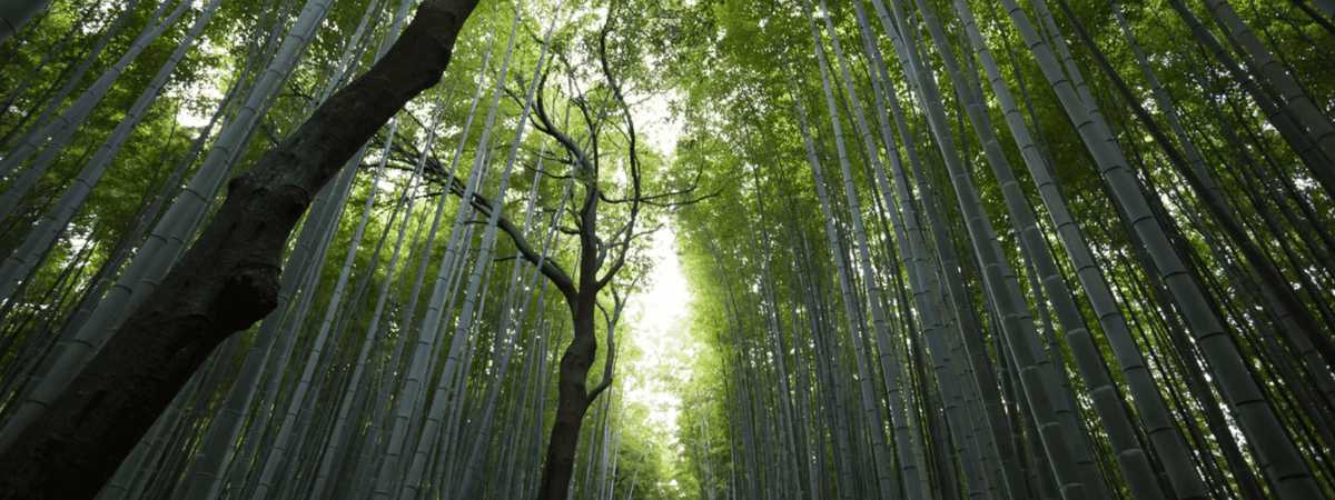 Earth Day: How We Keep Our Products Planet-Friendly