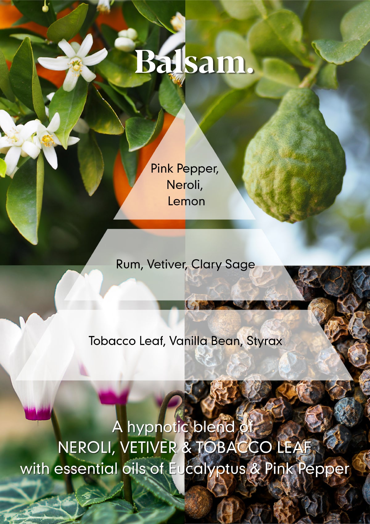 Balsam Hand Wash