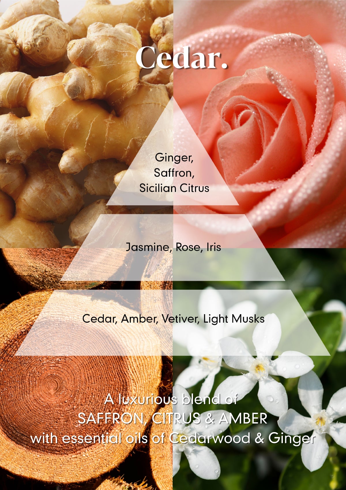 Cedar Hand Wash