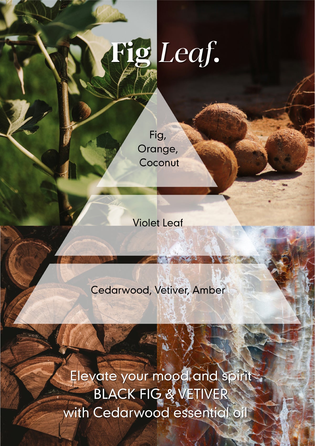 Fig Leaf Amber Diffuser Refill