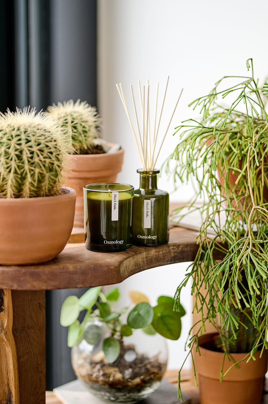 Black Oak Reed Diffuser