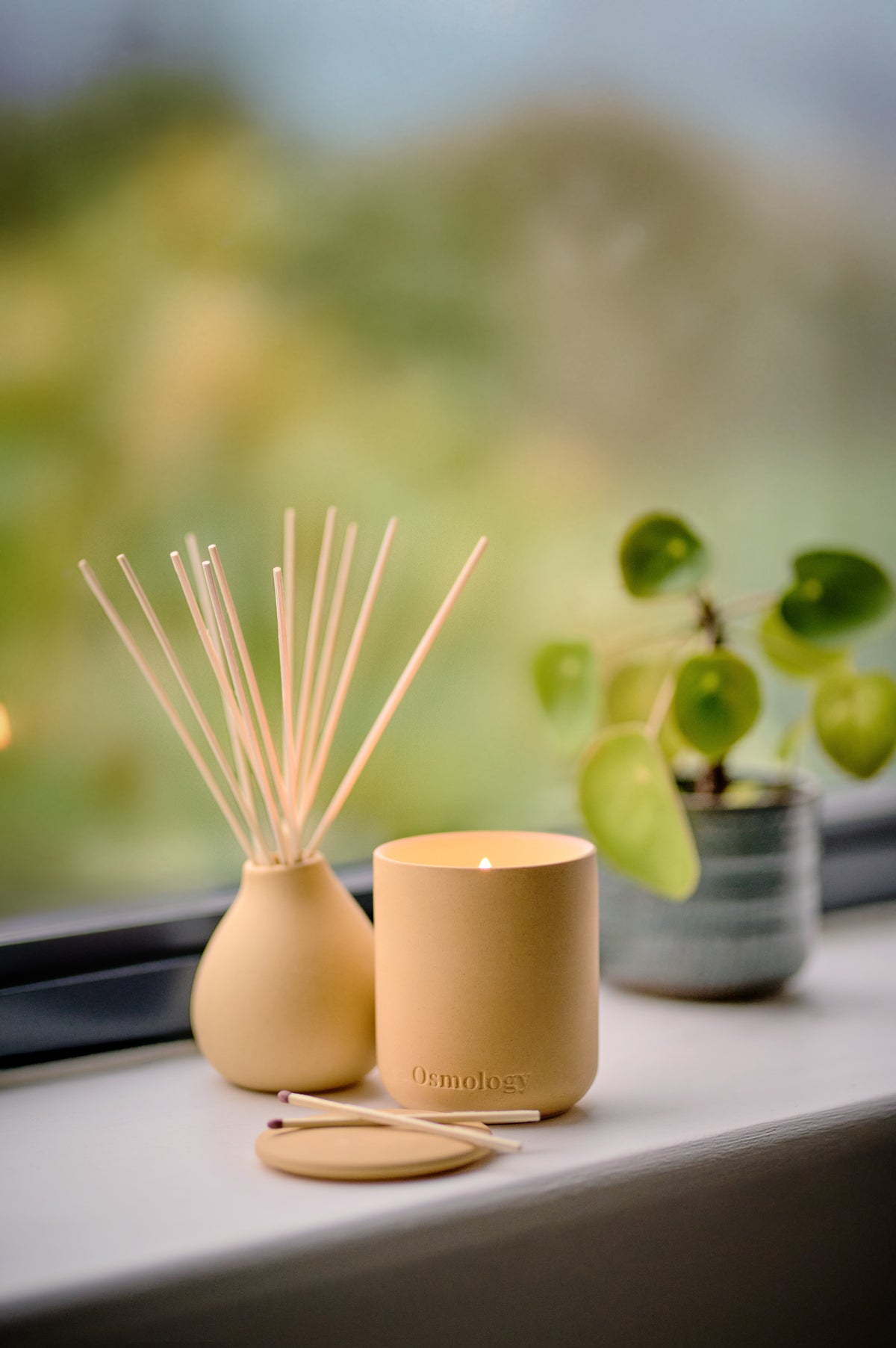 Mayan Vanilla Diffuser