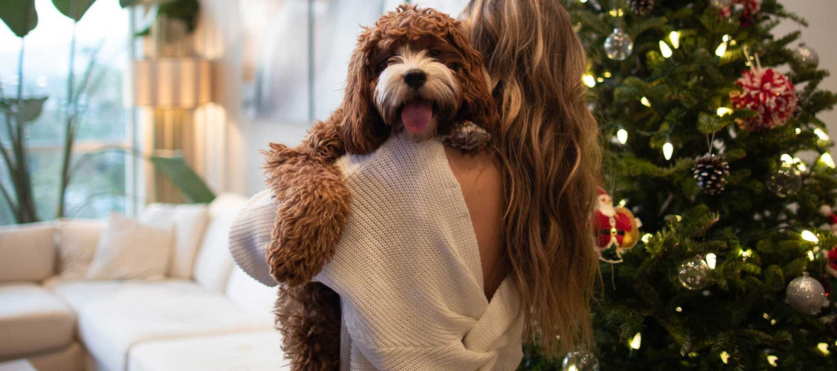 How to manage Christmas stress?