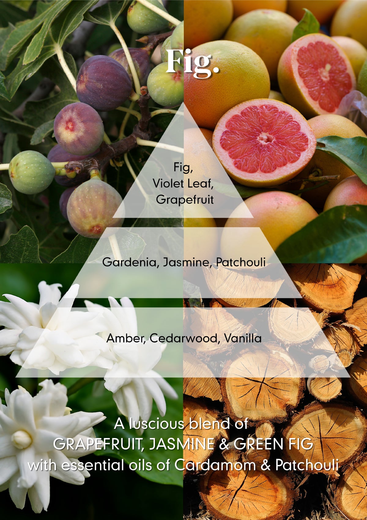 Fig Reed Diffuser