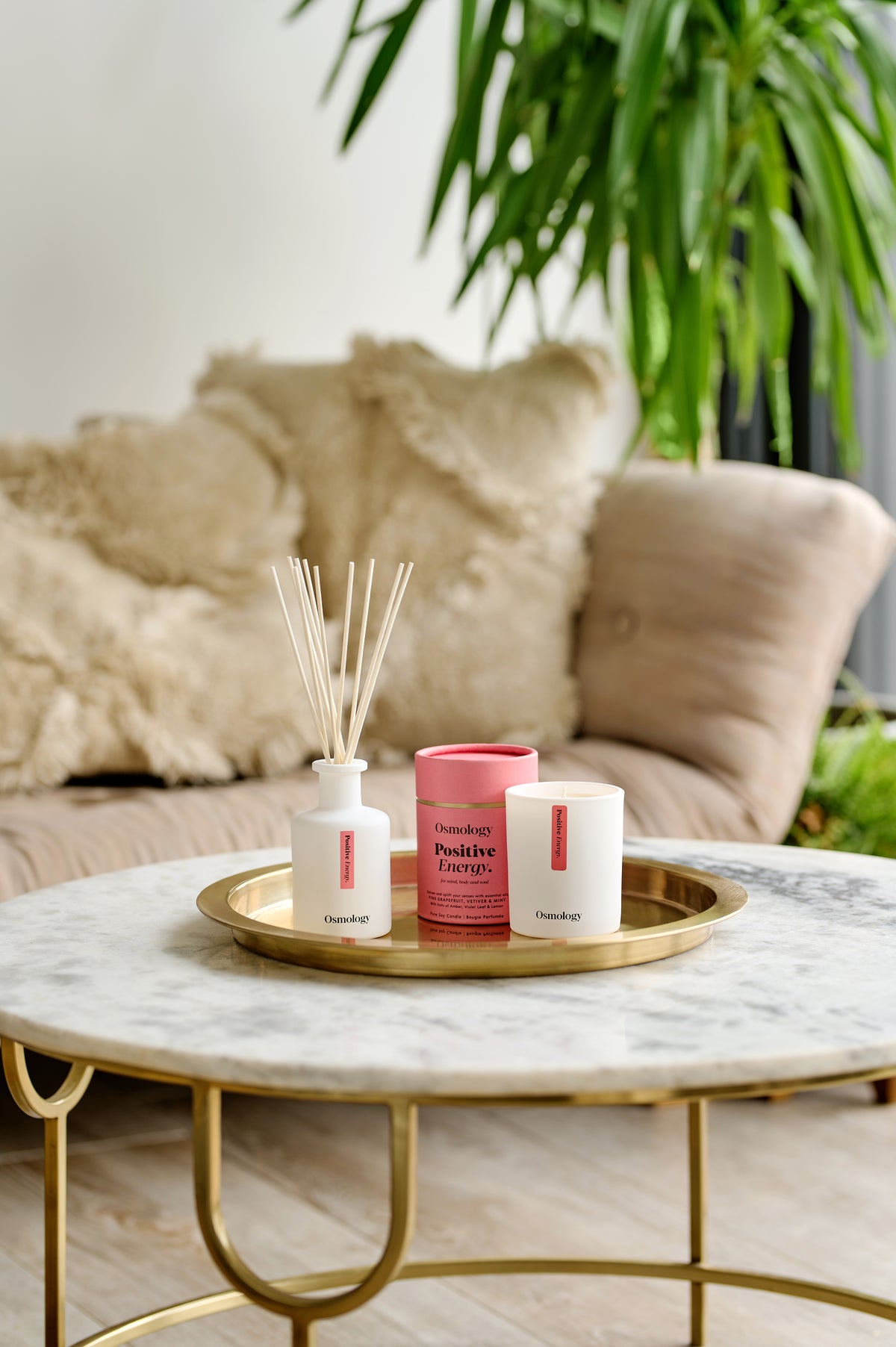 Positive Energy Reed Diffuser