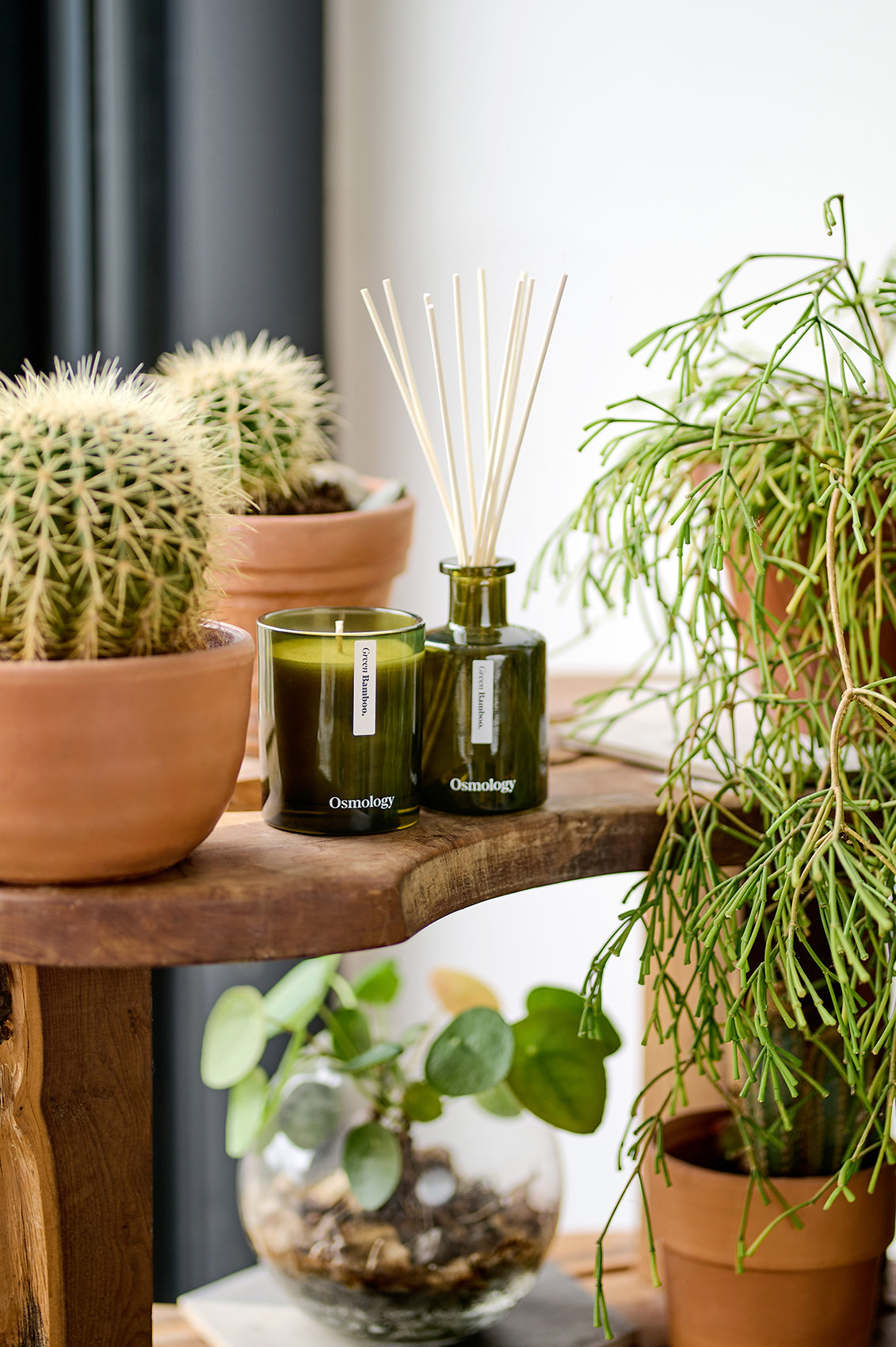 Green Bamboo Reed Diffuser