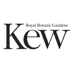 Kew Gardens black dog on white background